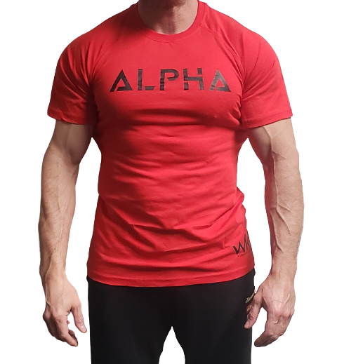 T-SHIRT BODY COLLECTION WORKOUT NUTRITION
